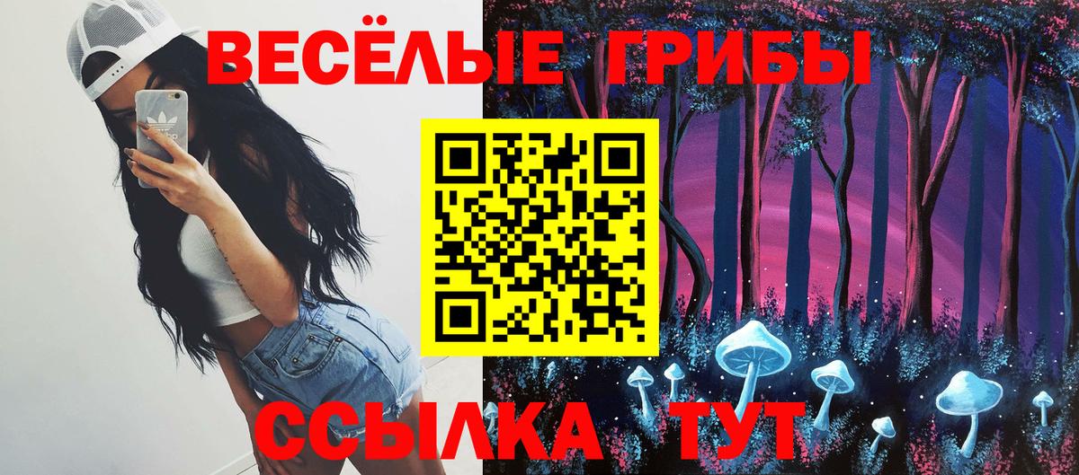 Галлюциногенные грибы прущие грибы  Вход с VPN  купить  цена  Екатеринбург 